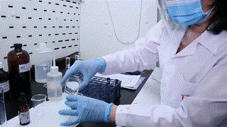 Metabolitos Secundarios - Potencial en Albaca