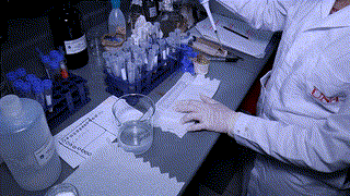 Degradación de Colorantes con Hongos Ligninolíticos - Parte 2