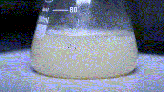 Síntesis de Claisen- Síntesis de dibenzalacetona