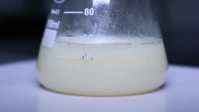 Síntesis de Claisen- Síntesis de dibenzalacetona