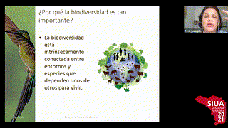 Biodiversidad en cifras